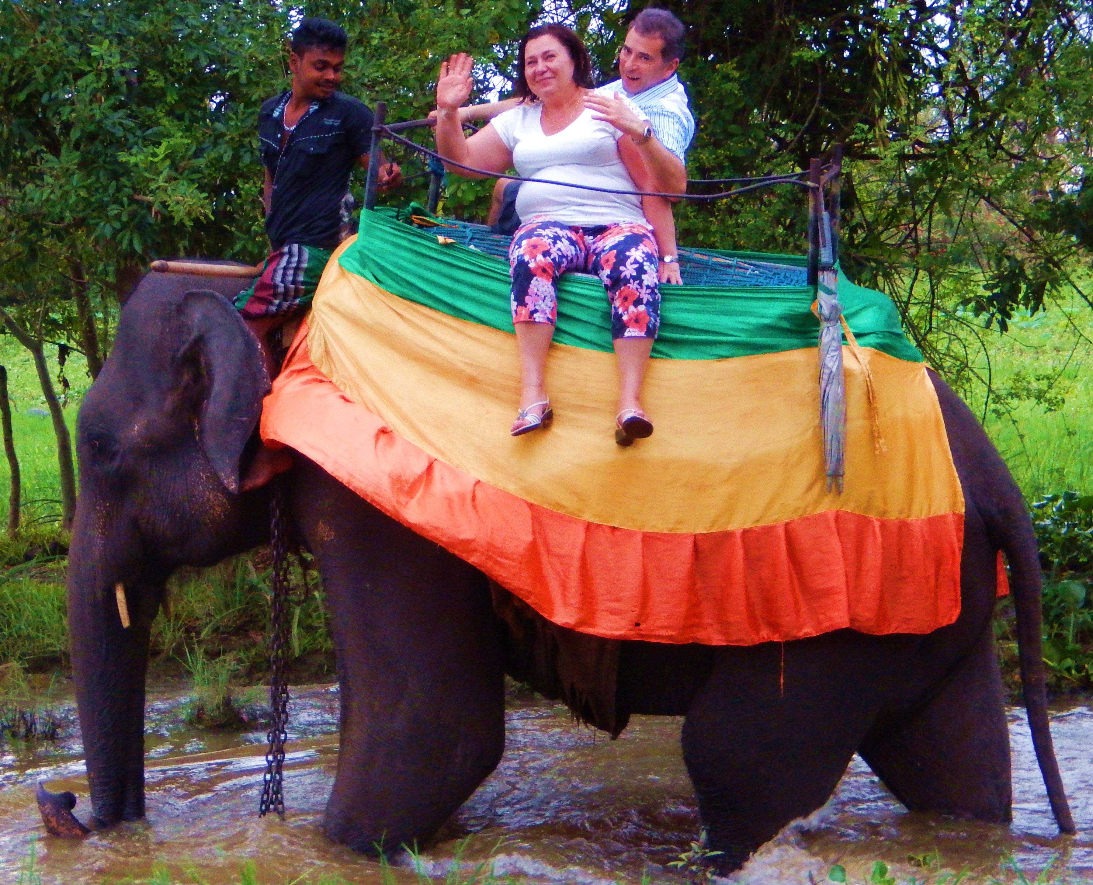 przejażdżka na słoniu