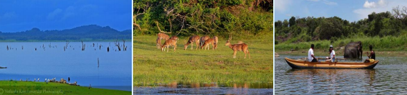Maduru Oya National Park