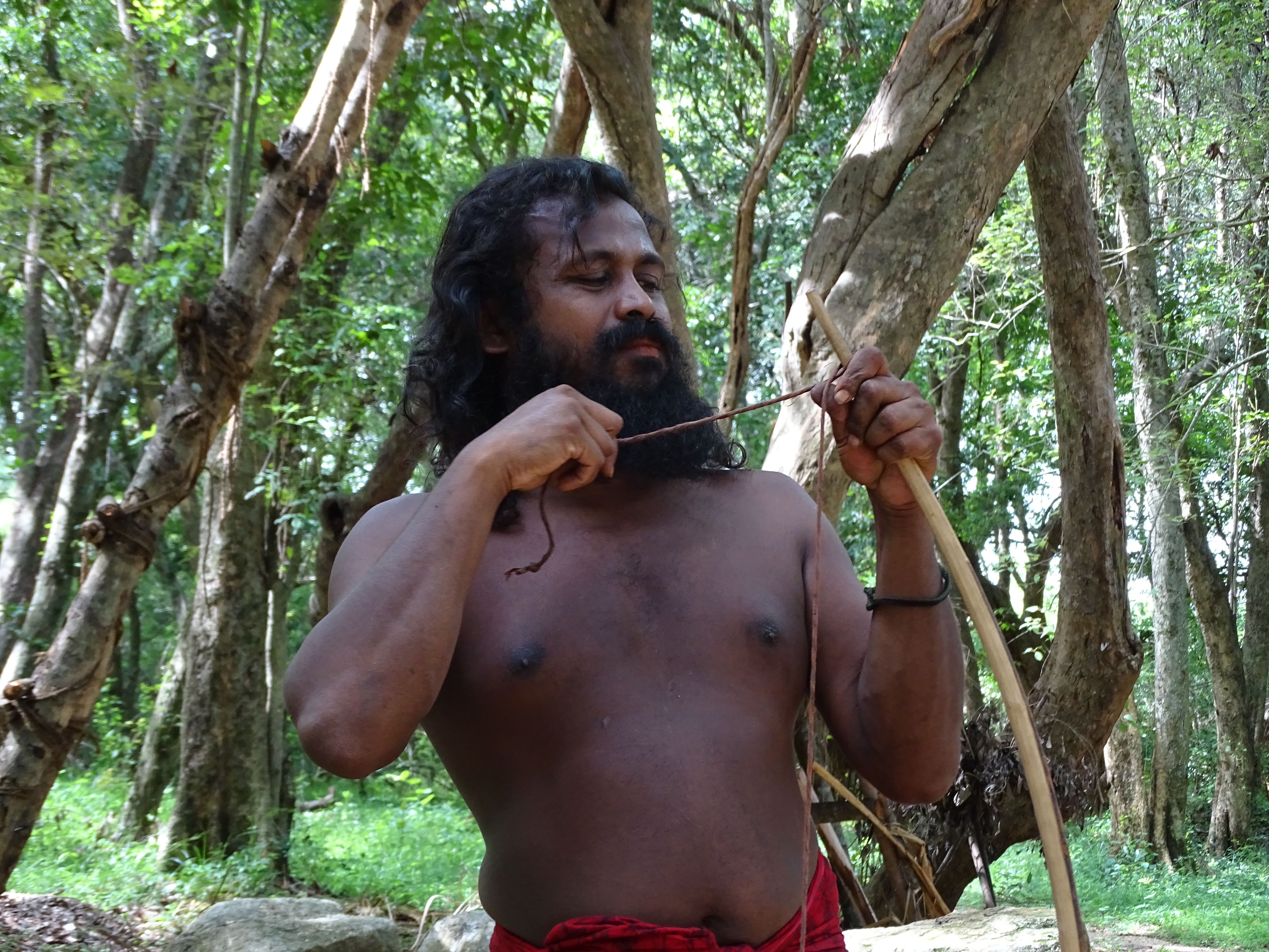 vedda